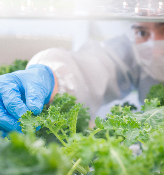 AgTech